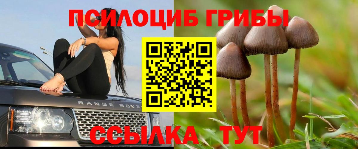 Галлюциногенные грибы прущие грибы  Вход с VPN  Галлюциногенные грибы MAGIC MUSHROOMS  Соль-Илецк 
